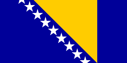 [Bosnian flag]