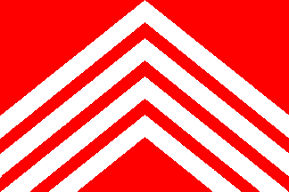 [Flag of Brakel]