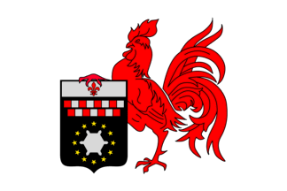 [Flag of Charleroi]