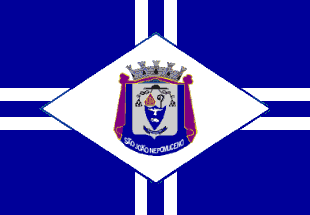 [Flag of São João Nepomuceno, MG (Brazil)]