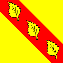 [Flag of Bioley-Orjulaz]
