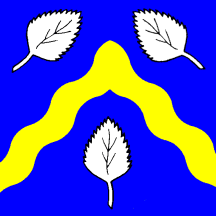 [Flag of Bioley-Magnoux]