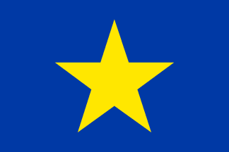 Reg. flag