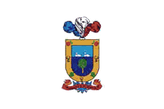 San Vicente flag