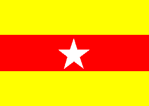 CCNI house flag