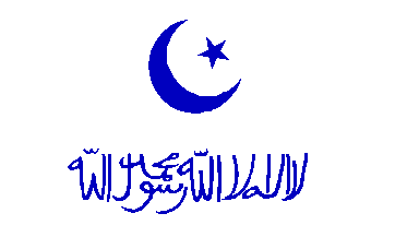 [Flag of Uighuristan]