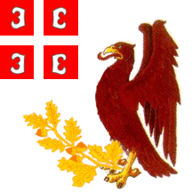 [Flag of Kragujevac]