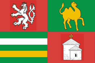 [Plzen region flag]