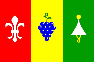 [Nemcicky municipality flag]