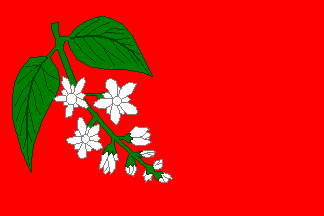 [Tremosná municipality flag]
