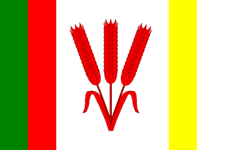 [Busovice flag]