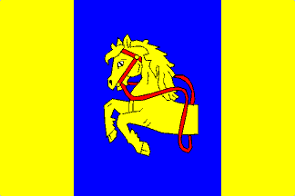 [Borotin flag]