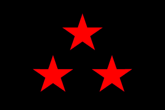 [Fictional flag of Nuevo Rico]