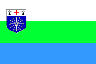 [Proposal of municipal flag]