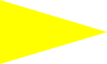 [Yellow beach flag]