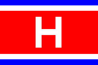[Hudson Steamship houseflag]