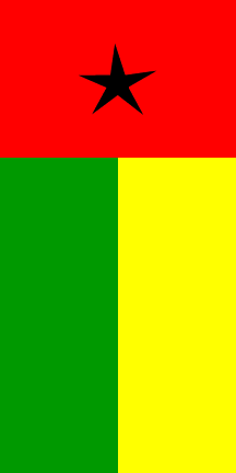 unusual Guinea Bissau flag