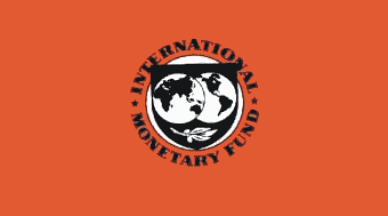 [Flag of International Monetary Fund]