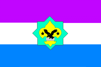[Scouts` flag]