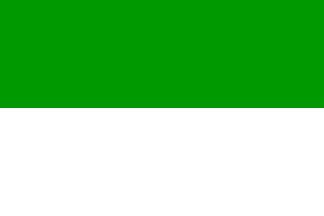[Green/white Rif flag]