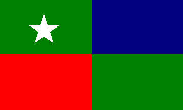 Maldives Prime Minister's  flag