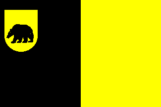 [Municipality flag of Baarland]