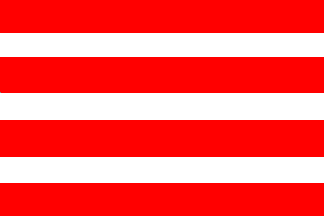 [T.H. Skogland & Son flag]