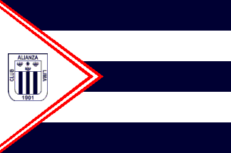 club flag