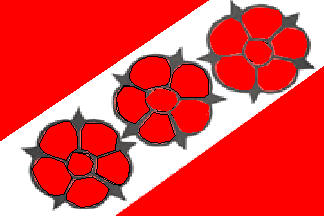 [Brzeg Dolny city flag]