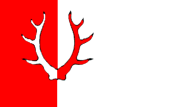 [official flag]