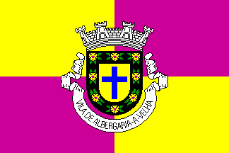 Albergaria-a-velha municipality