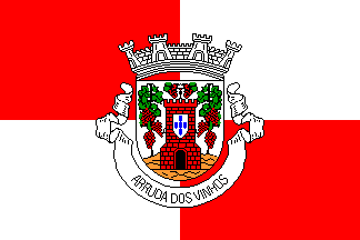 Arruda dos Vinhos plain flag
