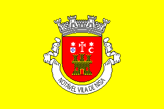Nisa municipality