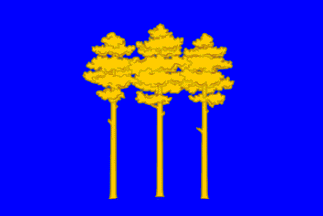 Dimitrovgrad city flag