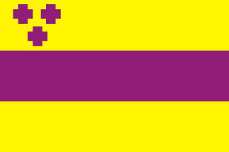 Troytsk flag