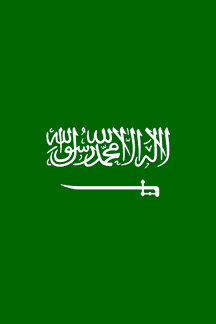 [Vertical Saudi Arabian flag]