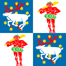 [flag of Norrbottens county]