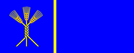 [Flag of Domzale]