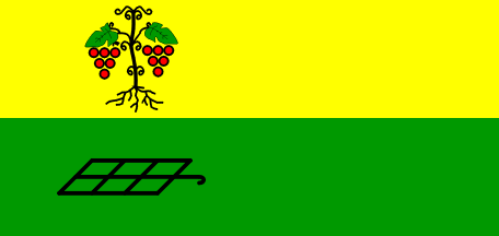 [Flag of Jursinci]