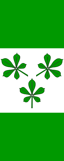 [Vertical flag of Kidricevo]