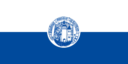 [Former flag of Koc<evje]