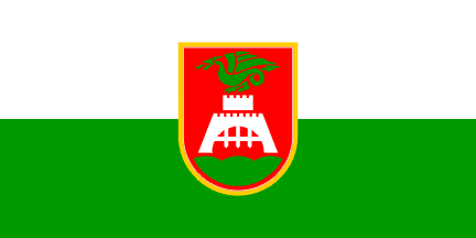 [Former flag of Ljubljana]