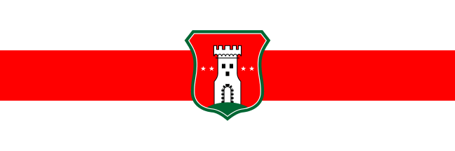 [Flag of Kostel]