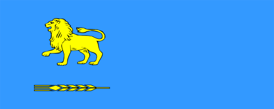 [Flag of Markovci]