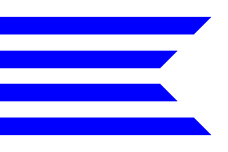 Jelsava flag