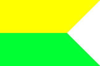 Levice flag