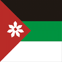 [Flag Captured 1920 (Kingdom of Syria)]