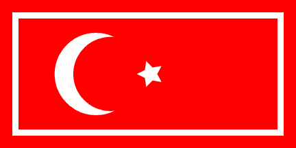 [Cutoms flag, 1917]